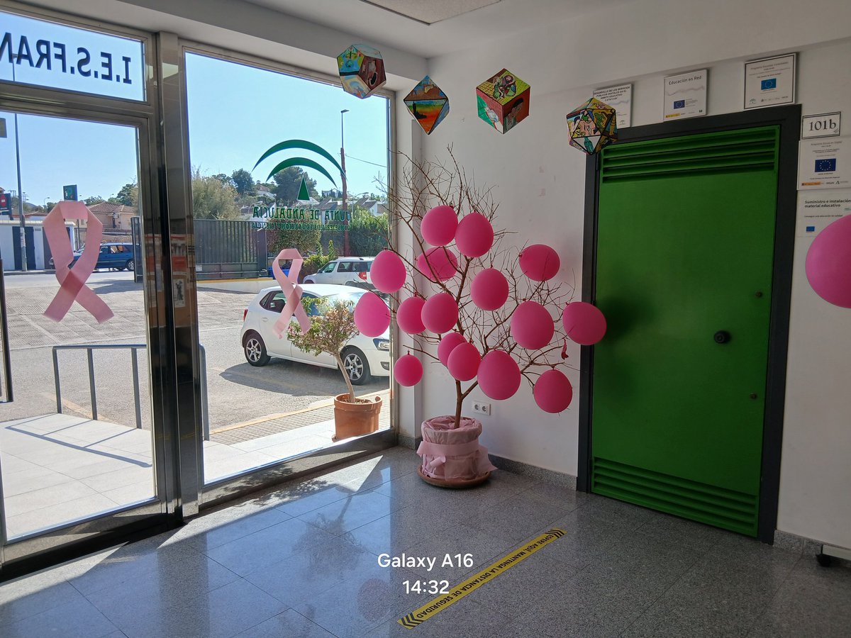 IES FRANCISCO PACHECO tweet media