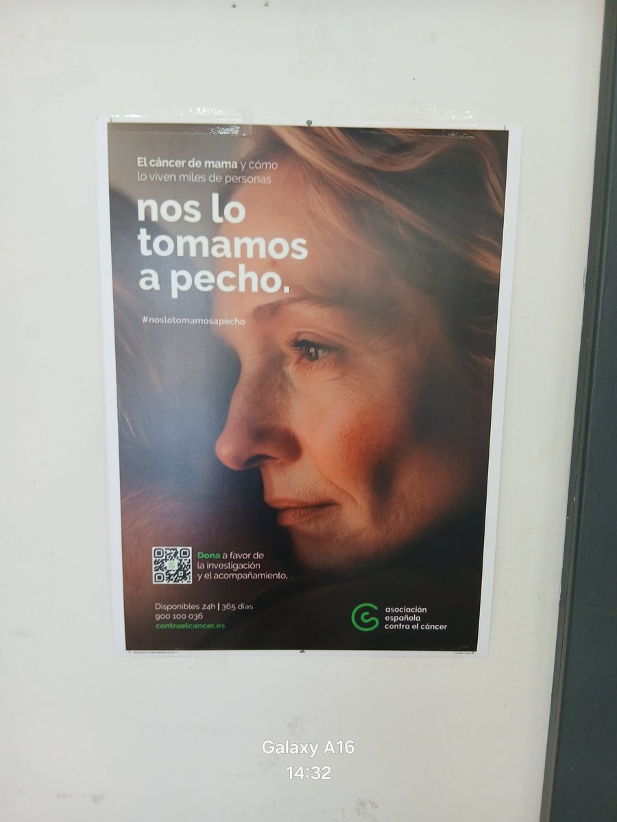 IES FRANCISCO PACHECO tweet media