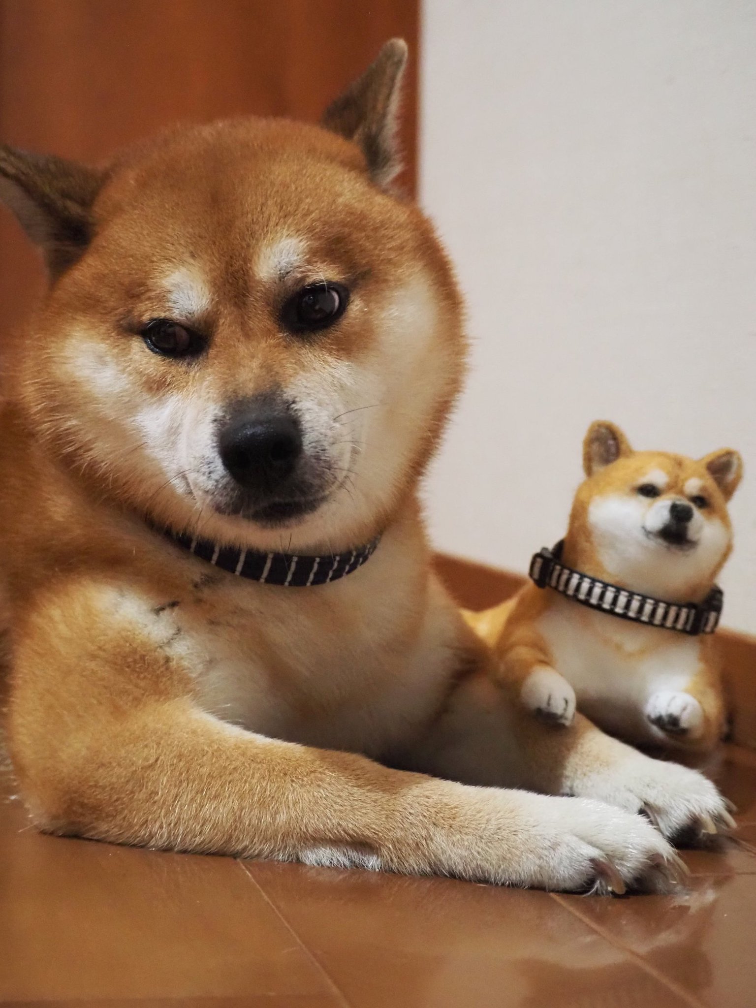 羊毛フェルト　ゆかぴょん(^_^)ページ 羊毛フェルト ゆかぴょん(^_^)ページ 羊毛フェルト ゆかぴょん