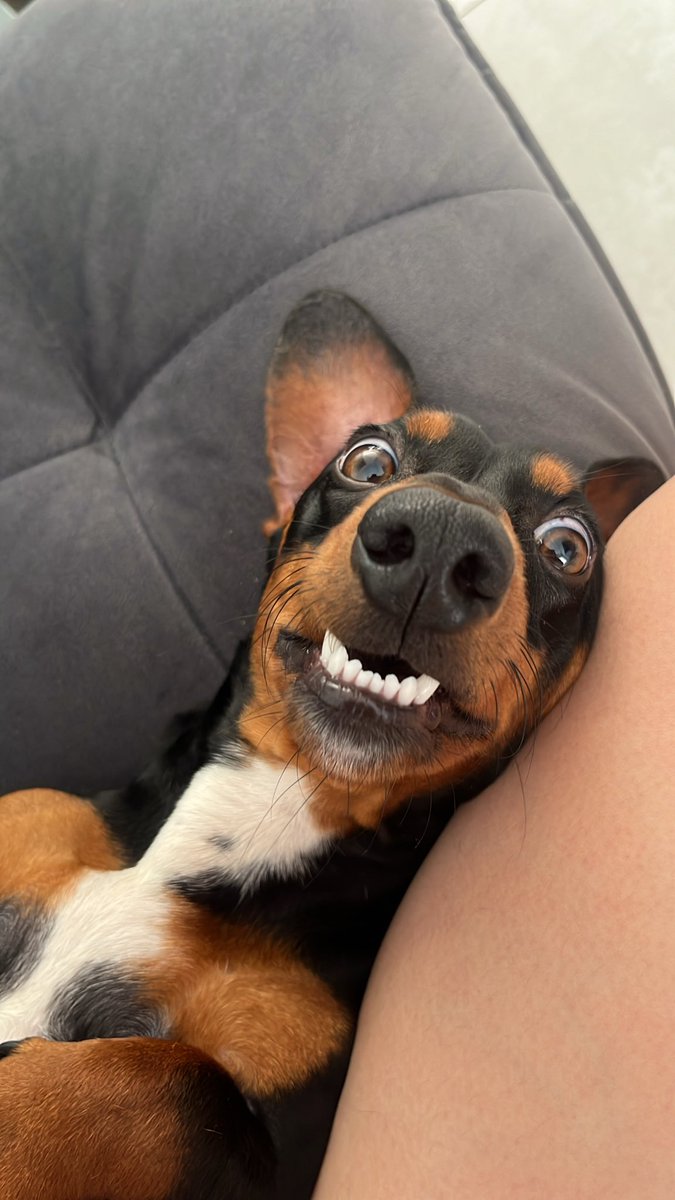 Como pode, amo tanto esse vagabundinho 😍