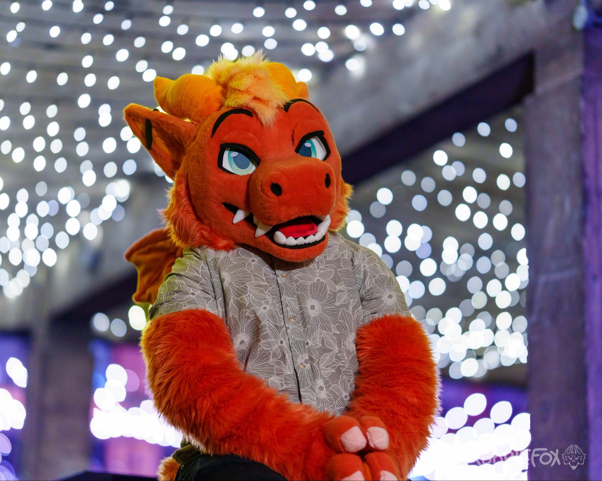 🐉✨ 

(📸: <a href="/PurpleFoxCosmo/">Myst</a>)

#FursuitFriday