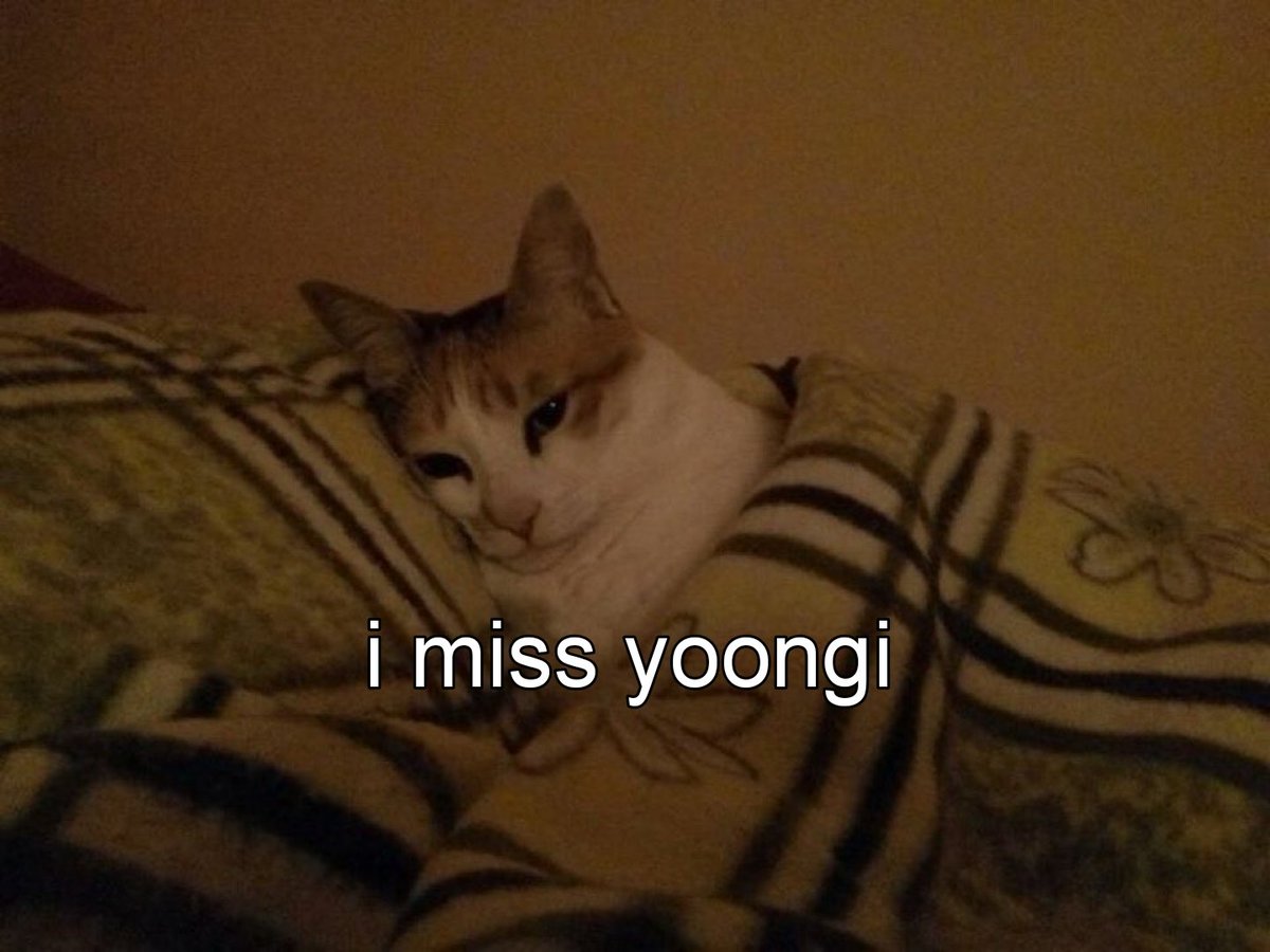 YOONGI YOONGI YOONGI YOONGI (@yoonglyoongi) on Twitter photo 