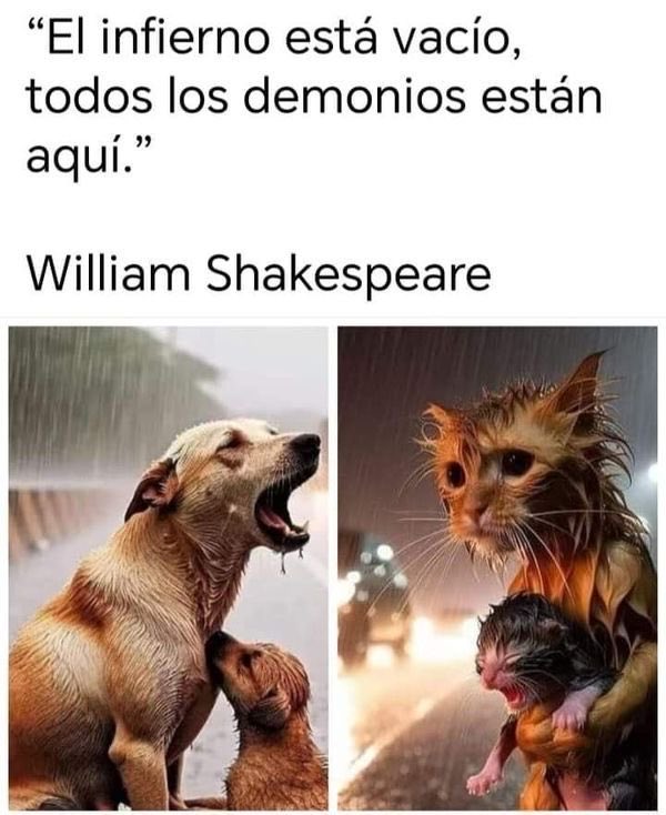 AlmasDeLaCalle's tweet image. Los Demonios Están Aquí

No habitan bajo tierra,
ni arden en fuego eterno.
Caminan entre nosotros,
con trajes, sonrisas y excusas.

Son los que miran y callan,
los que giran la vista
ante un ser temblando bajo la lluvia,
ante un llanto que no usa palabras.

El infierno no ruge,…