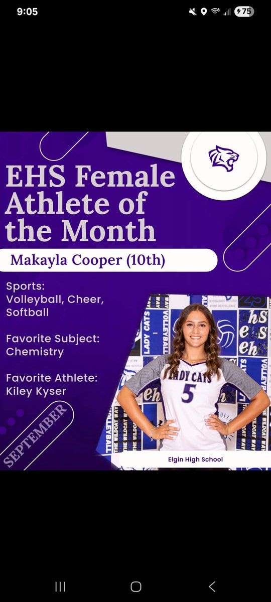 Elgin Ladycat Volleyball tweet media