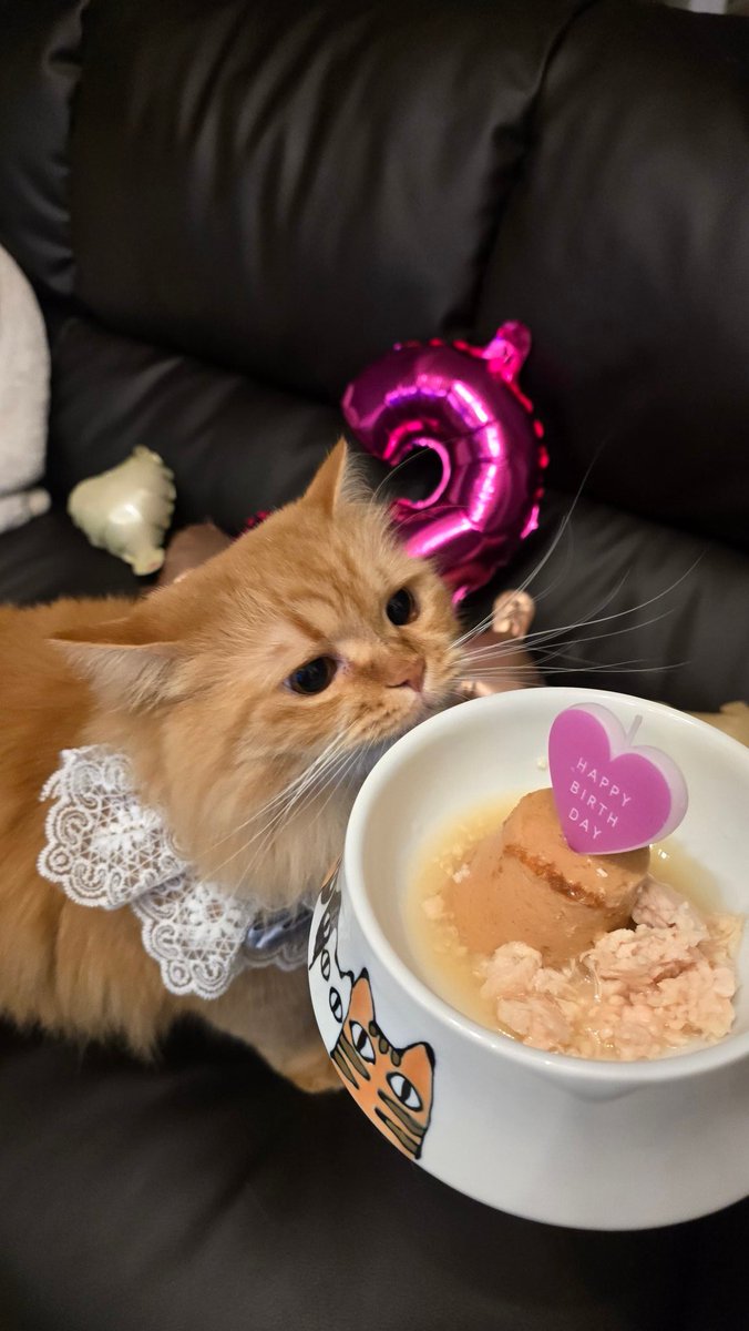 りりぃ🍨 tweet media