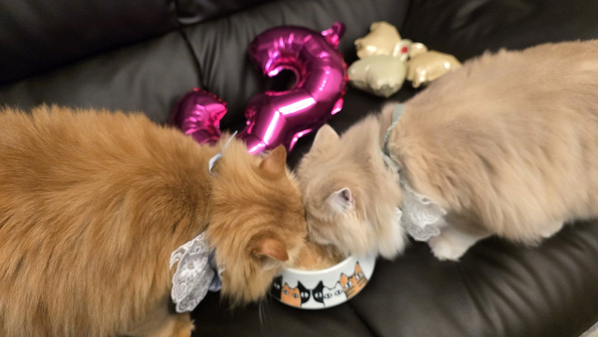 りりぃ🍨 tweet media