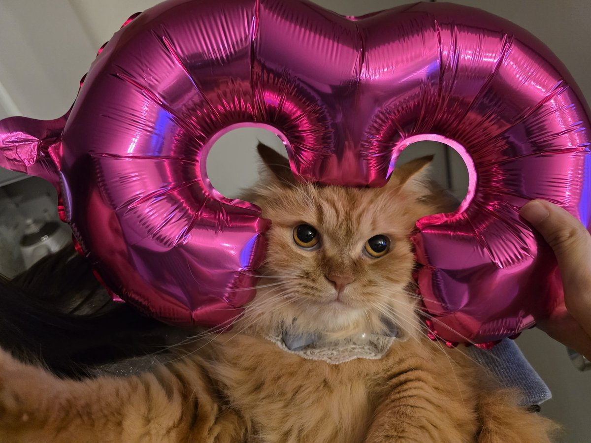 りりぃ🍨 tweet media