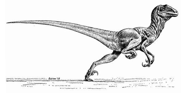 I love how they kept the big ass head since it was based on this old reconstruction of Deinonychus, except now it doesn't look like ass

Like a perfect blend of retro and modern Deinonychus it's beautiful