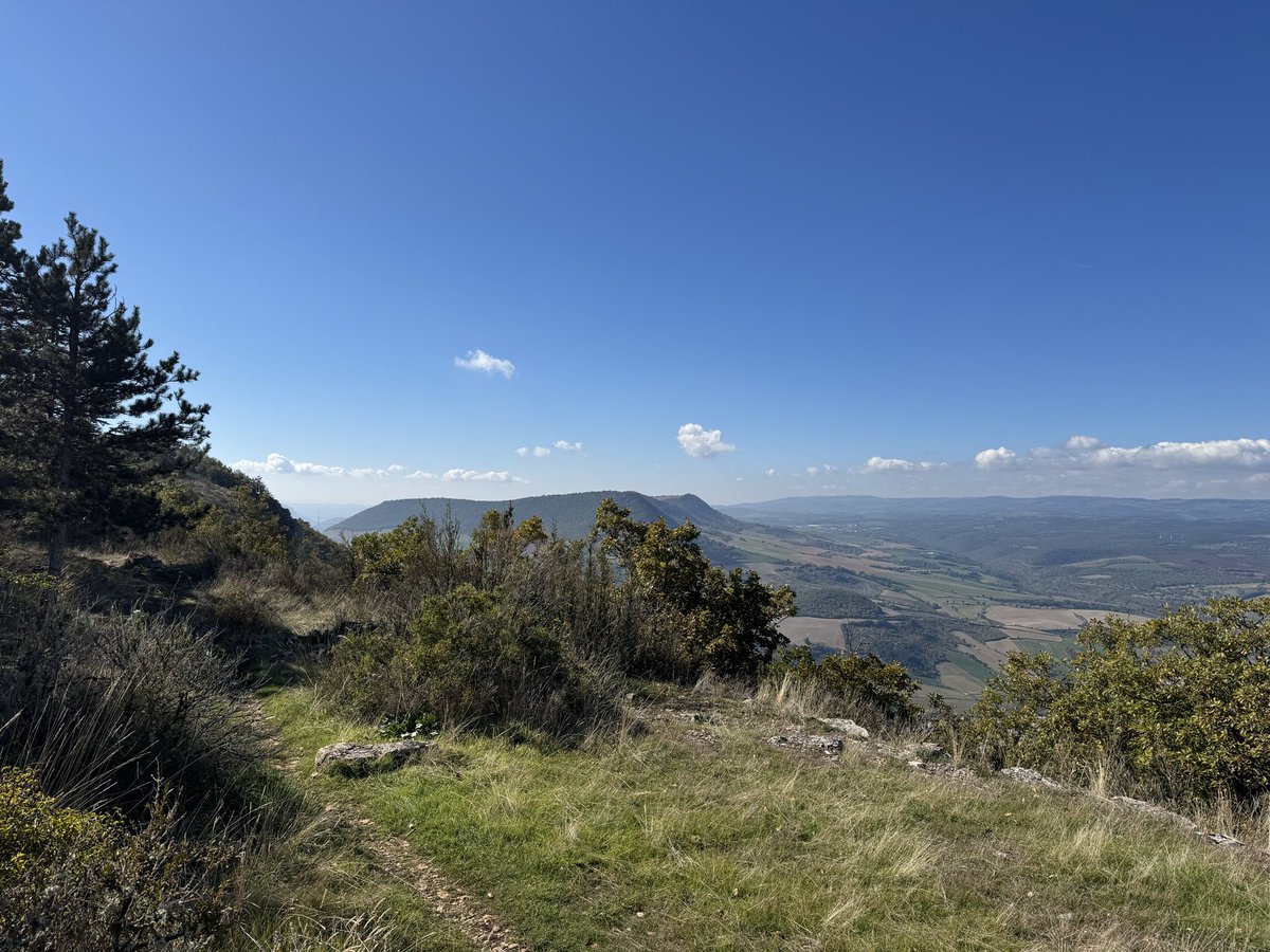 Sortie longue sur les Causses pendant le Festival des Templiers. Quelle belle atmosphère ici aussi 🥰
Le plus dur en Trail c’est de faire des choix 😭
Ou de se droguer sans se faire gauler 😎