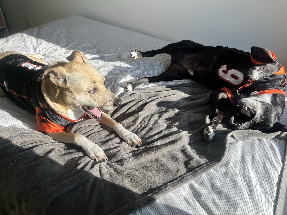 Scott Carpenter tweet media