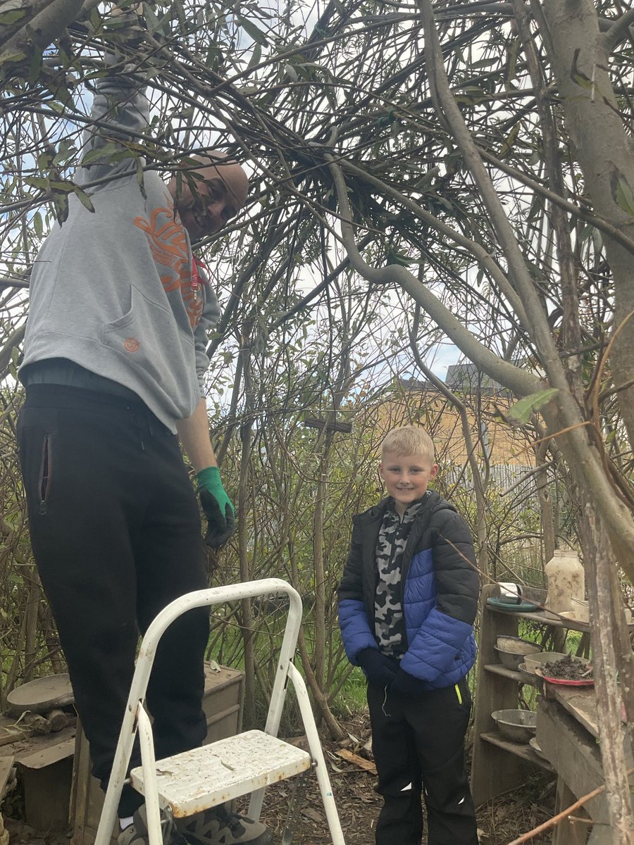 Mr Allen tweet media