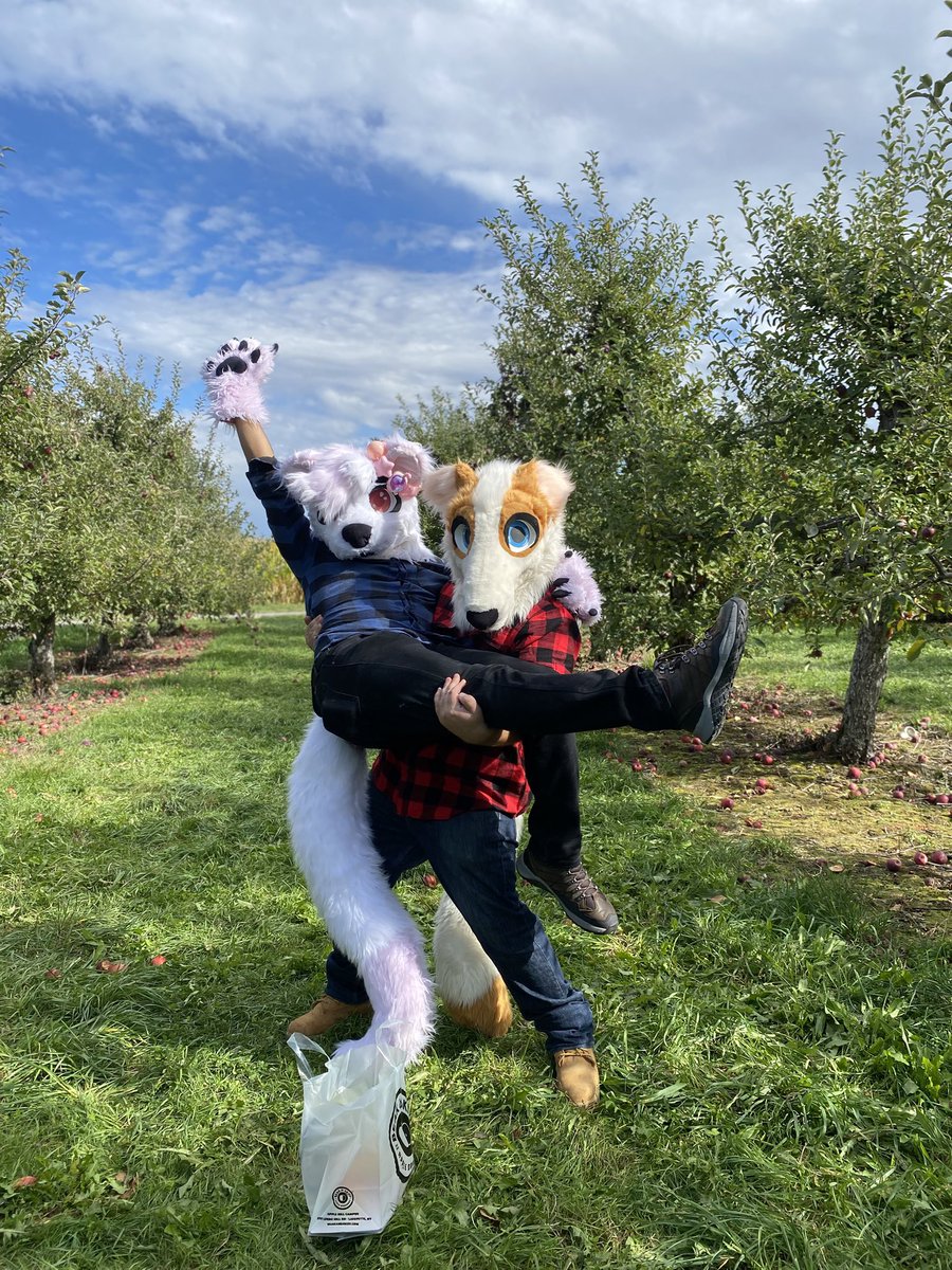 Happy #fursuitfriday 
Check out this otter I found
