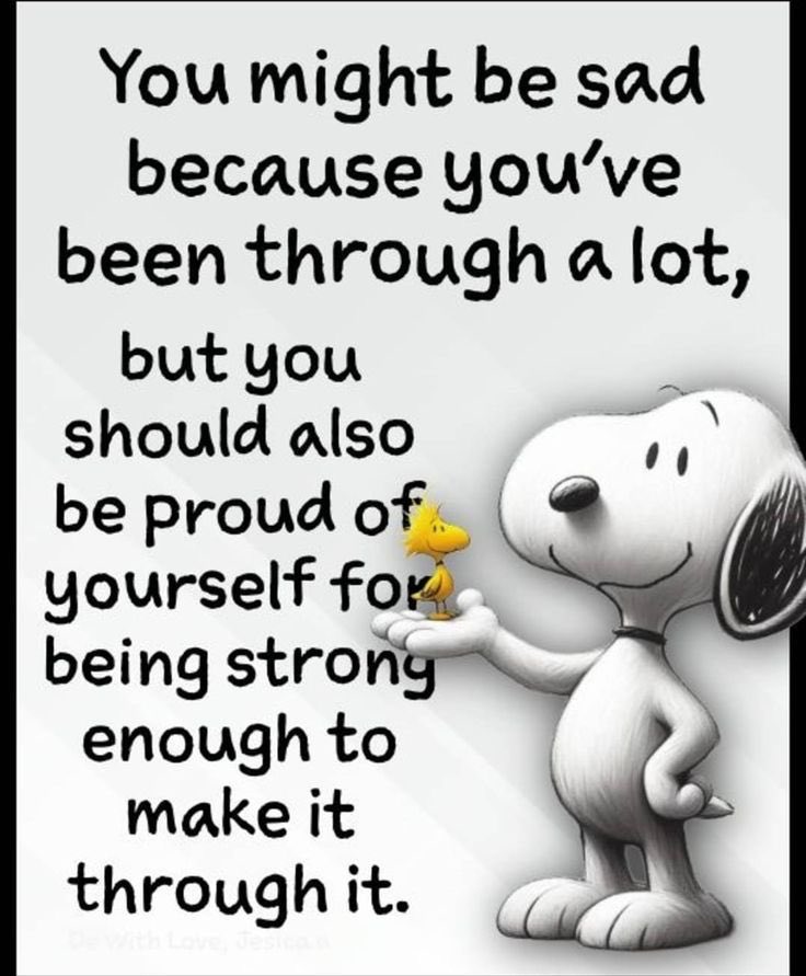 TDancesia's tweet image. Good morning and happy Friday. It’s Friday and we made it. Get through today and remember how far you have come already.

Pep rally day today and then driving to Syracuse for a state wrestling officials’ meeting. 

Have an amazing day everyone 

@DannyGautama
@BCait88…