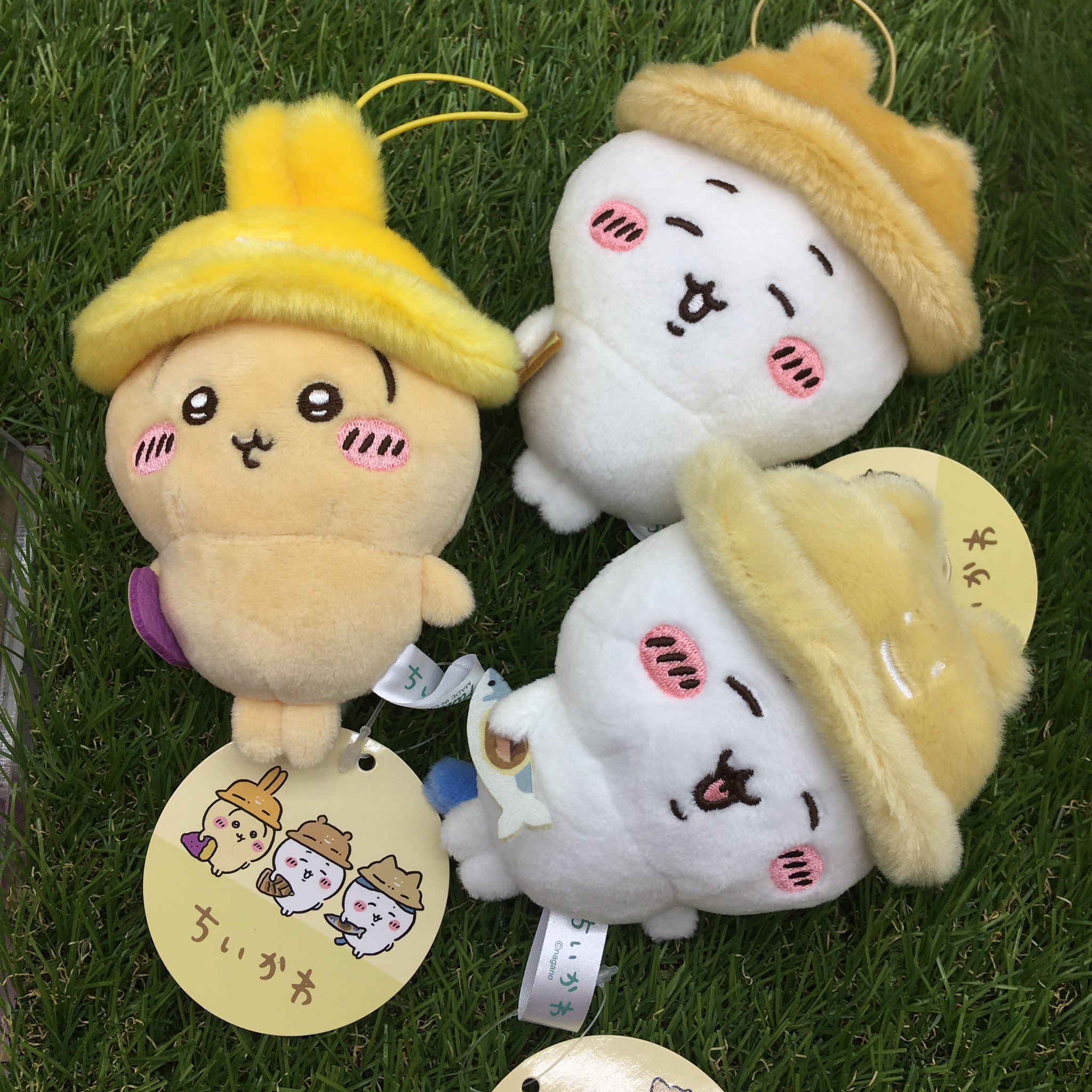 テメ４　ポチャッコ　超BIGぬいぐるみ＆王様ぬいぐるみ＆マスコット＆缶バッジ テメ4 ポチャッコ 超BIGぬいぐるみ＆王様ぬいぐるみ