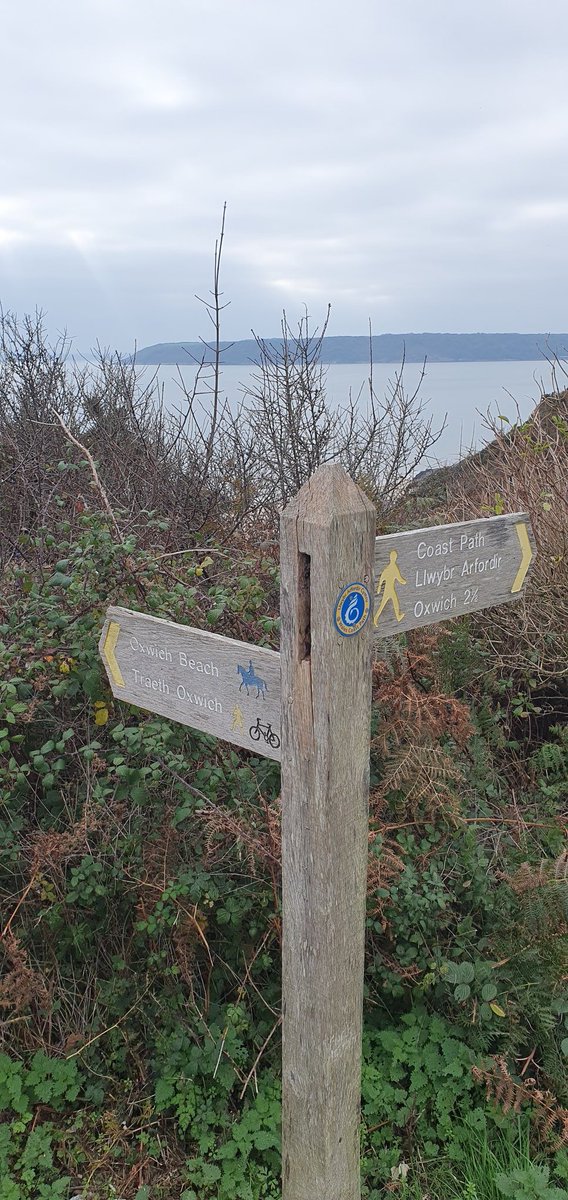 One from this weeks holiday in South Wales on the Gower Peninsula, Oxwich Bay, #fingerpostfriday