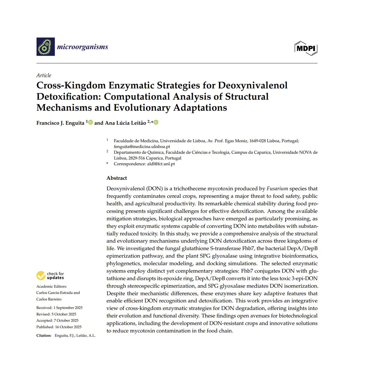 New study by Francisco J. Enguita (<a href="/fenguita/">Francisco J. Enguita</a>) et al. reveals cross-kingdom enzymatic strategies for deoxynivalenol (DON) detoxification. 🌾🔬

Illustrations made using #ProtienImager 3dproteinimaging.com/protein-imager

article doi.org/10.3390/microo…

#Mycotoxins #FoodSafety #Microbiology
