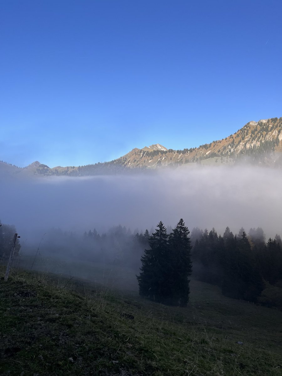 Appa🏄🏻‍♂️ tweet media