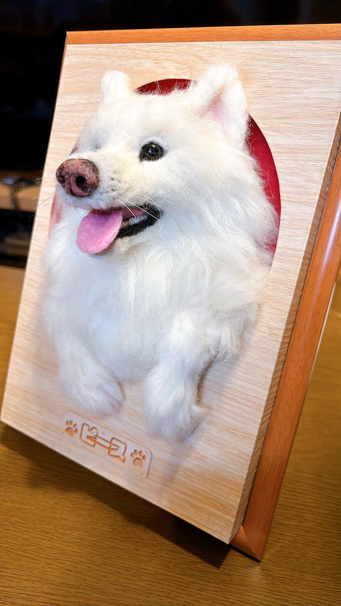 HAWK_mocha's tweet photo. やっと実家に帰れて開封しました！
白のもふもふの再現性が高すぎて感謝しかないです。家族みんな大笑顔です。本当にありがとうございます！！！ https://t.co/iqL74733fv