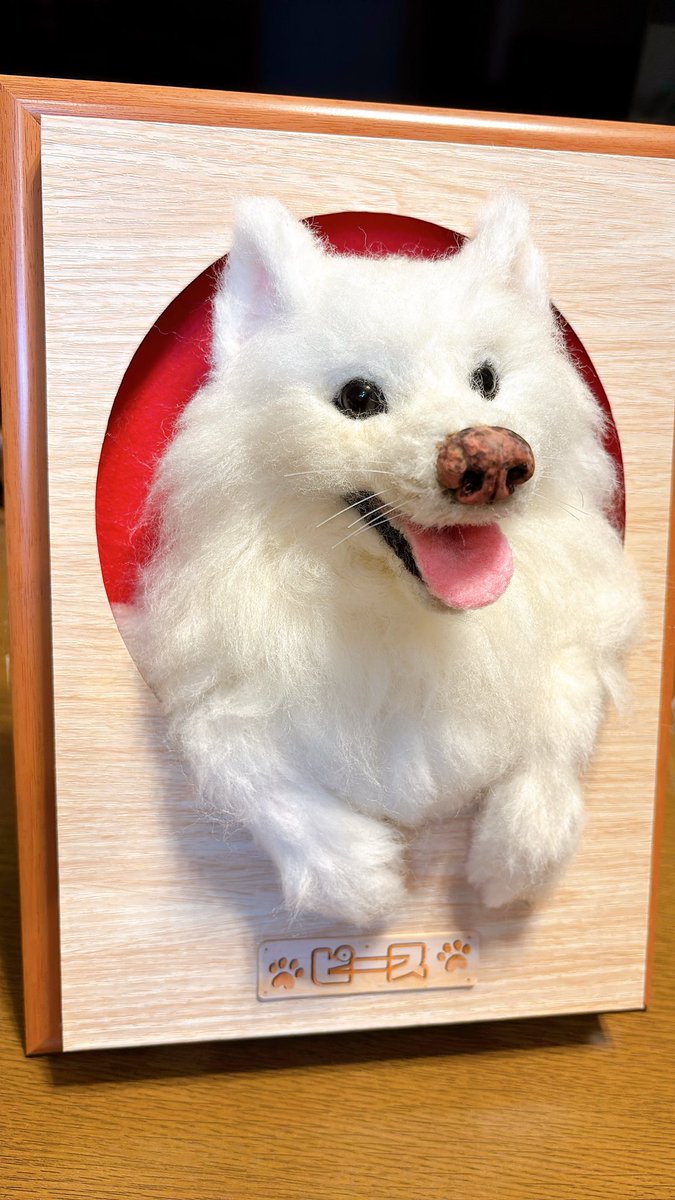 HAWK_mocha's tweet photo. やっと実家に帰れて開封しました！
白のもふもふの再現性が高すぎて感謝しかないです。家族みんな大笑顔です。本当にありがとうございます！！！ https://t.co/iqL74733fv