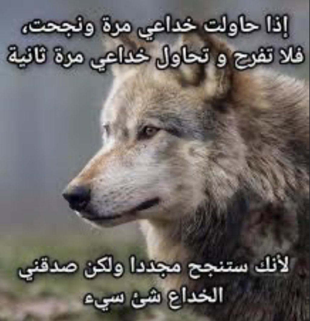 siiif tweet media