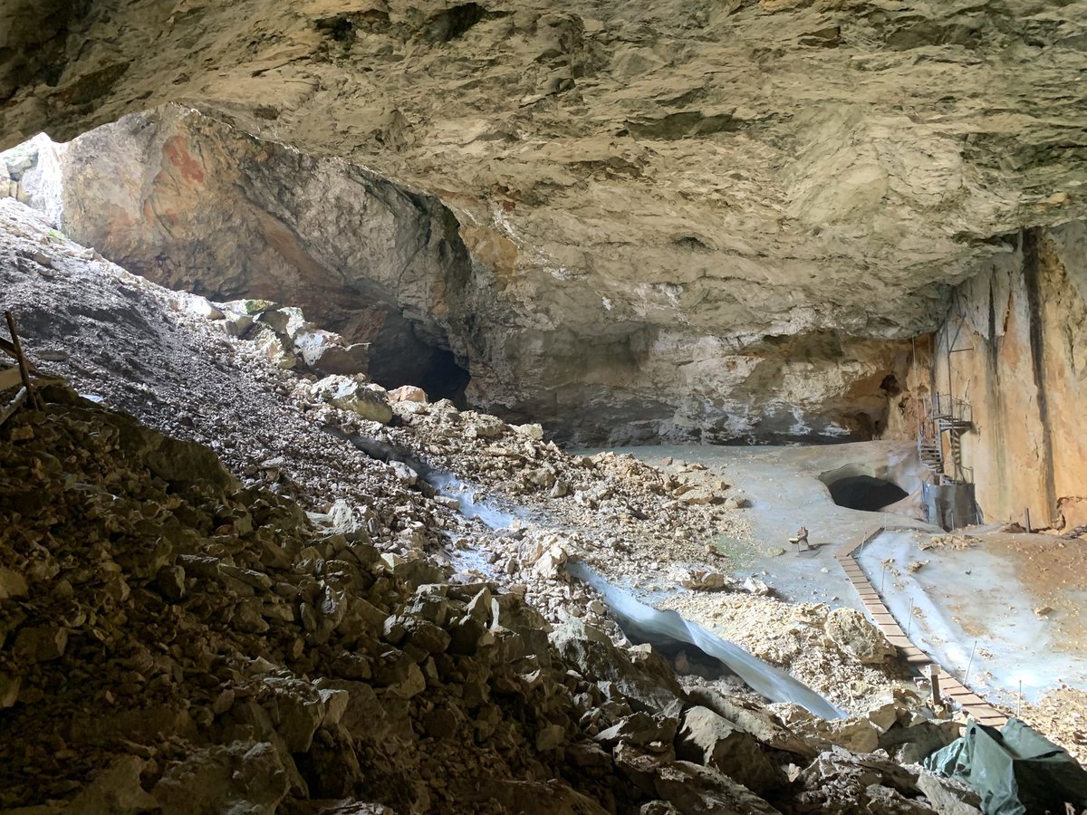 Timothy Orpen tweet media