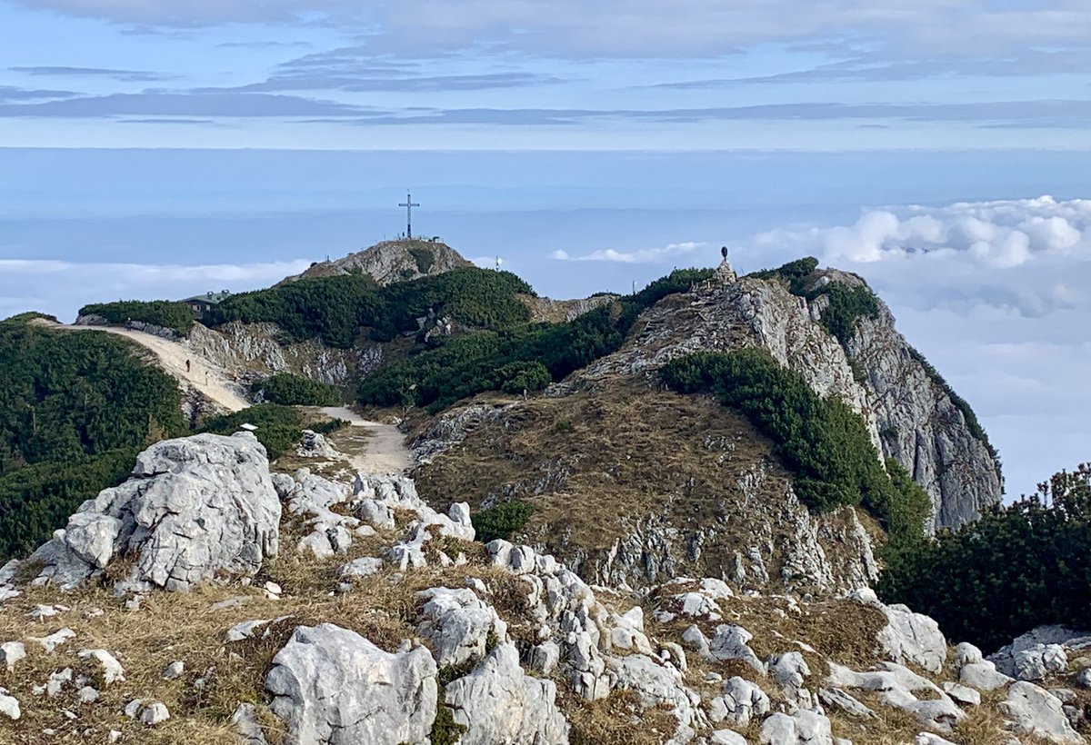 Timothy Orpen tweet media