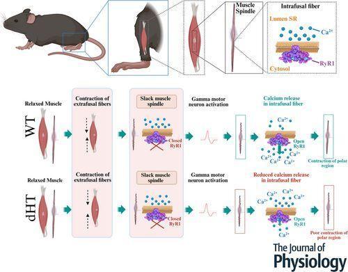 👋Channelomics.bsky.social👋 tweet media