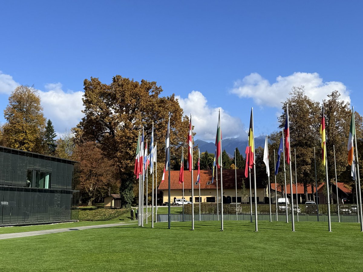 Sara Nikolić tweet media