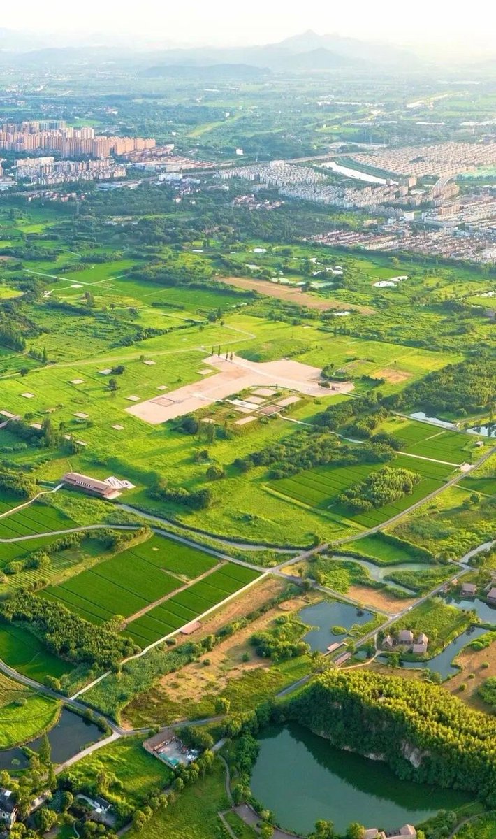 binjiangfeel's tweet image. From October 18 to 20, 2025, Hangzhou hosts #the3rdLiangzhuForum. Centered on the theme &quot;#Revitalization of Civilization: #CulturalHeritage and Human Cultural Diversity&quot; , it marks key milestones like China’s 40th year in the #WorldHeritageConvention #Liangzhu