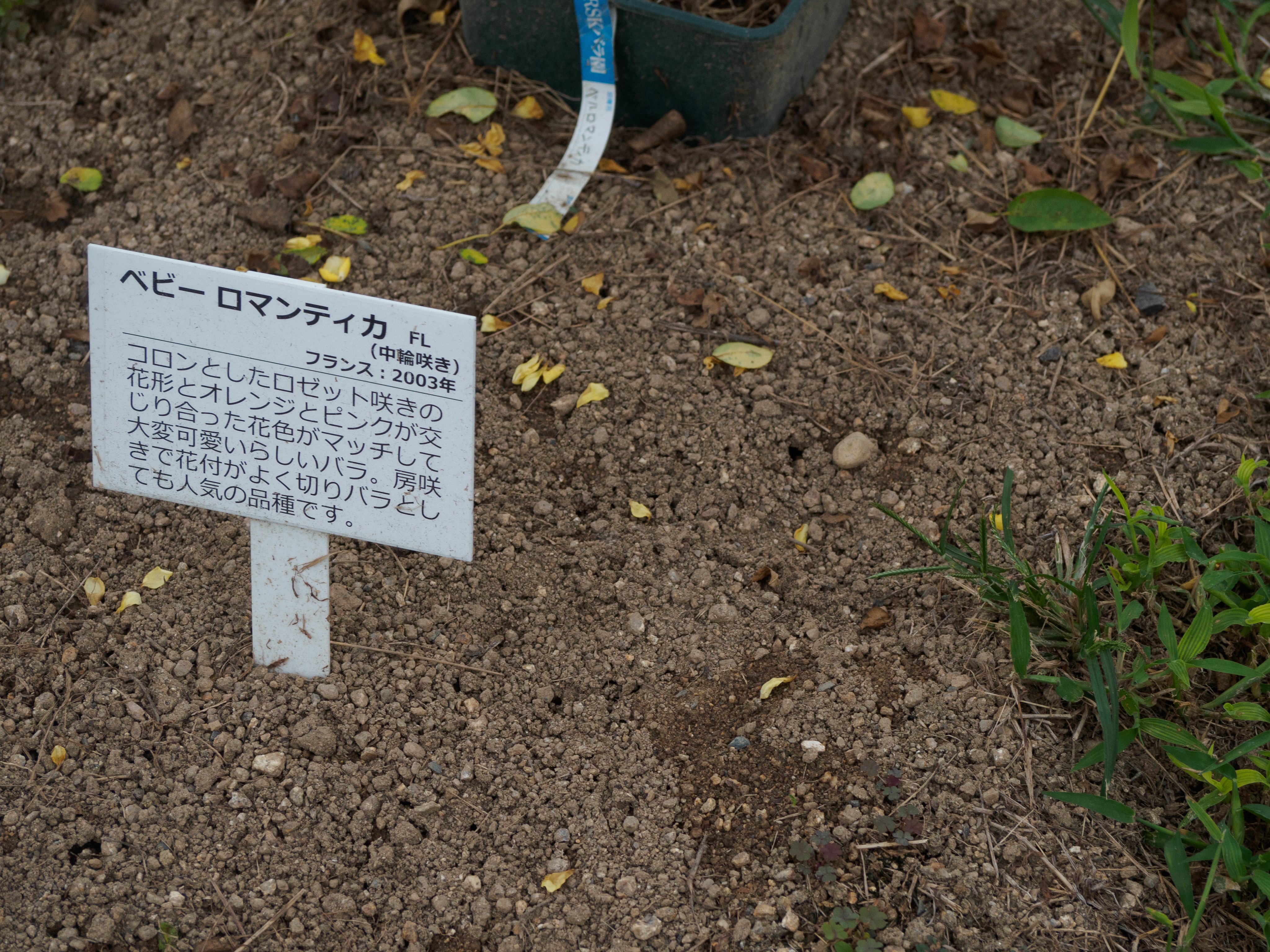 ひろりん♪ (@hirorin4649) / X