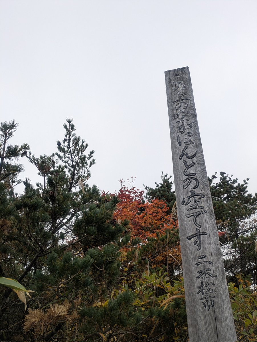 kerela9ma's tweet photo. 雲の上の空がほんとの空です。たぶん。
紅葉もガスガスでしたが、ほんとは錦秋の絶景らしいです。あぁ。爆裂火口はとんでもなくすごかったです、別世界です。
#安達太良山 https://t.co/MpQA9WEiyq