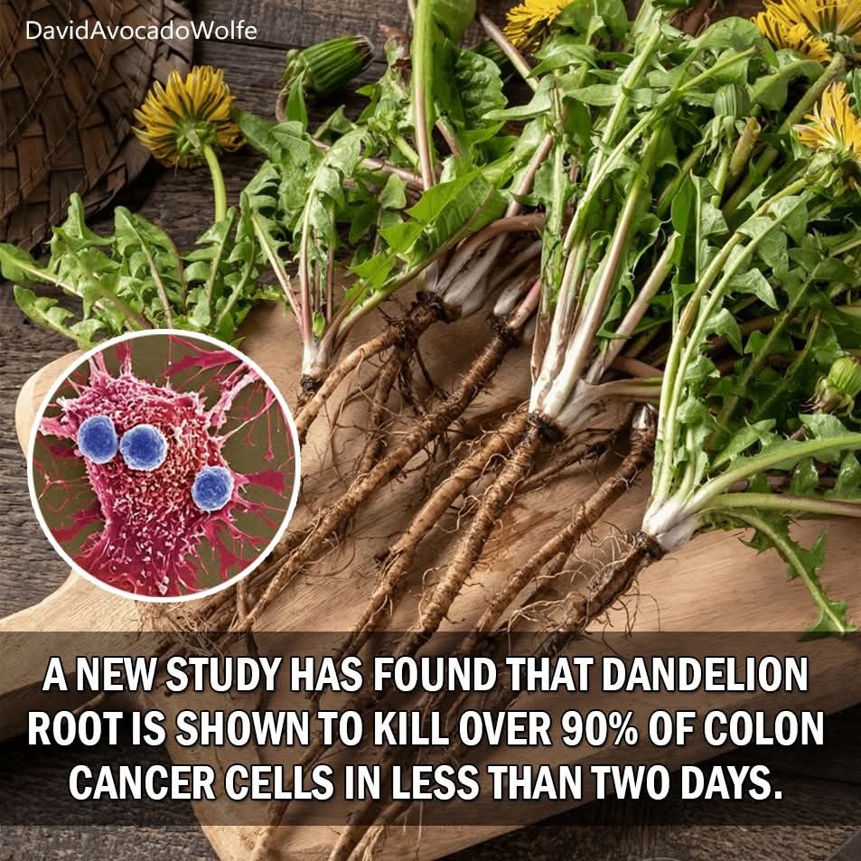 DavidWolfe's tweet photo. https://t.co/QDUF9cF7O0