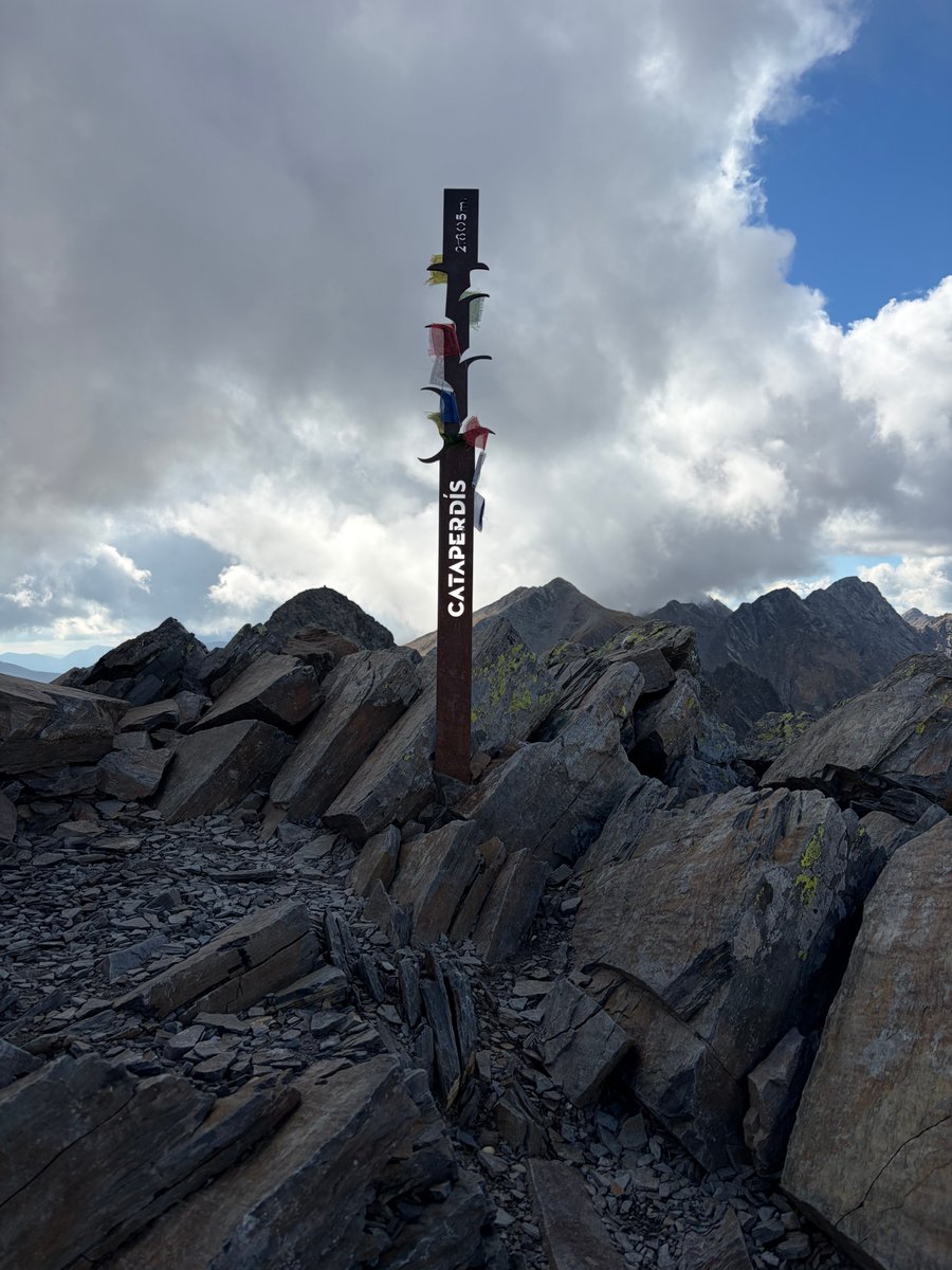 Mark Nyet tweet media