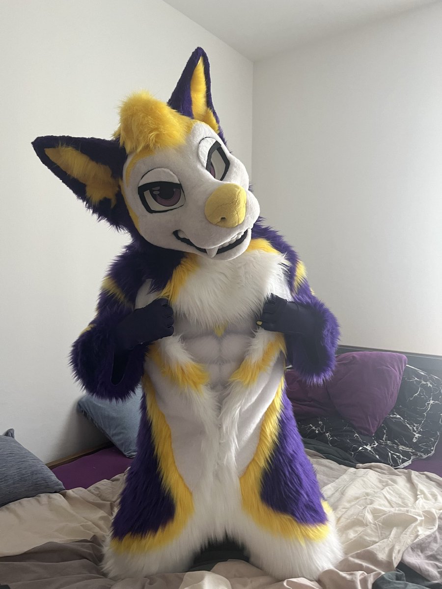 Jayres206's tweet photo. Abs of fluff, strength of snuggles 💜💛 
📸 @Blushyfox 
🪡 @forfunbangkok 
#fursuit #FursuitEveryday #fursuiter #furryfandom #furrycommunity #petsuit #forfunbangkok https://t.co/nNhYr5sQSw