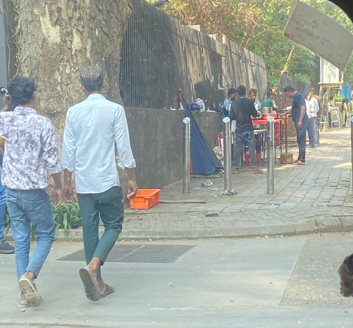 Mo Mumbai tweet media