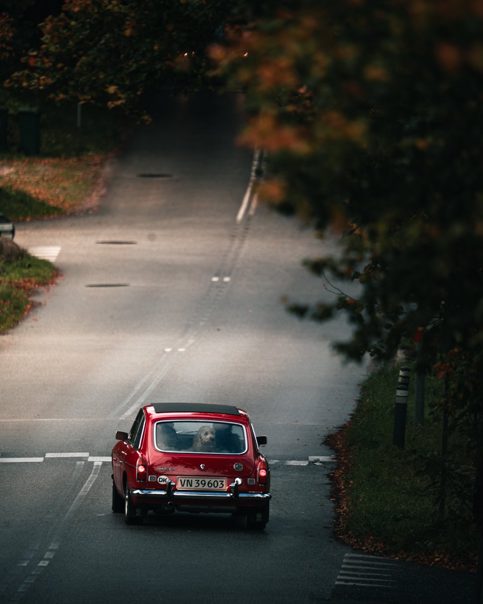 Darte Fex tweet media