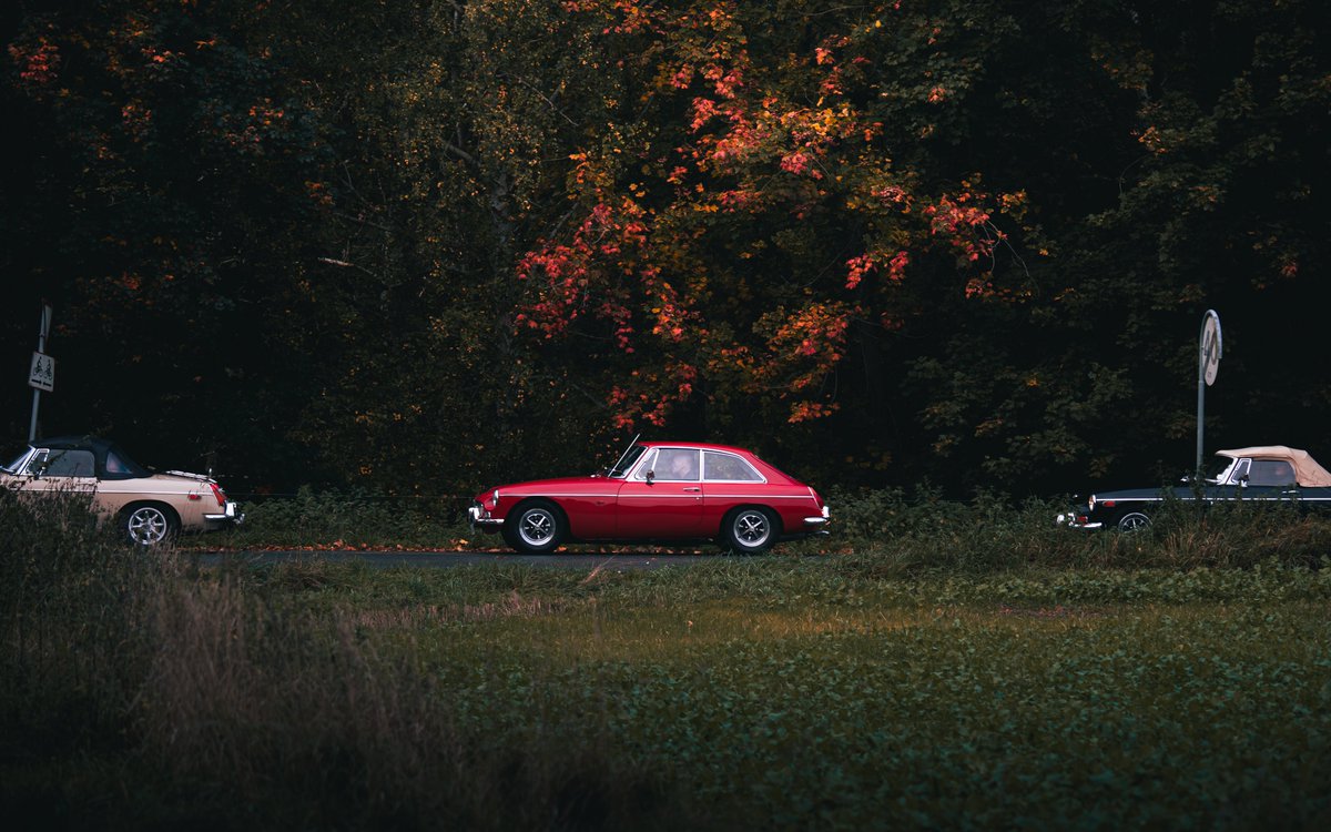 Darte Fex tweet media