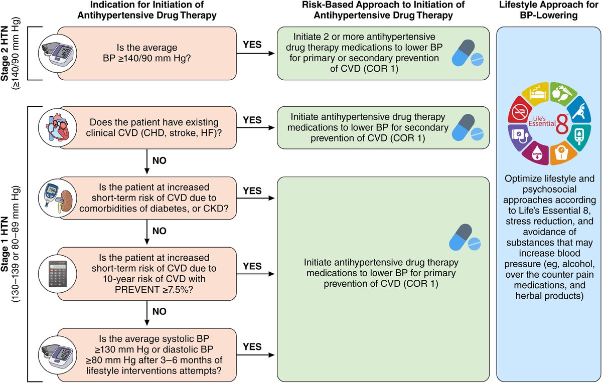 CardioTeca tweet media