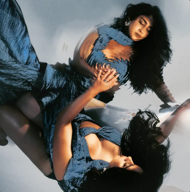 Access LAND tweet media