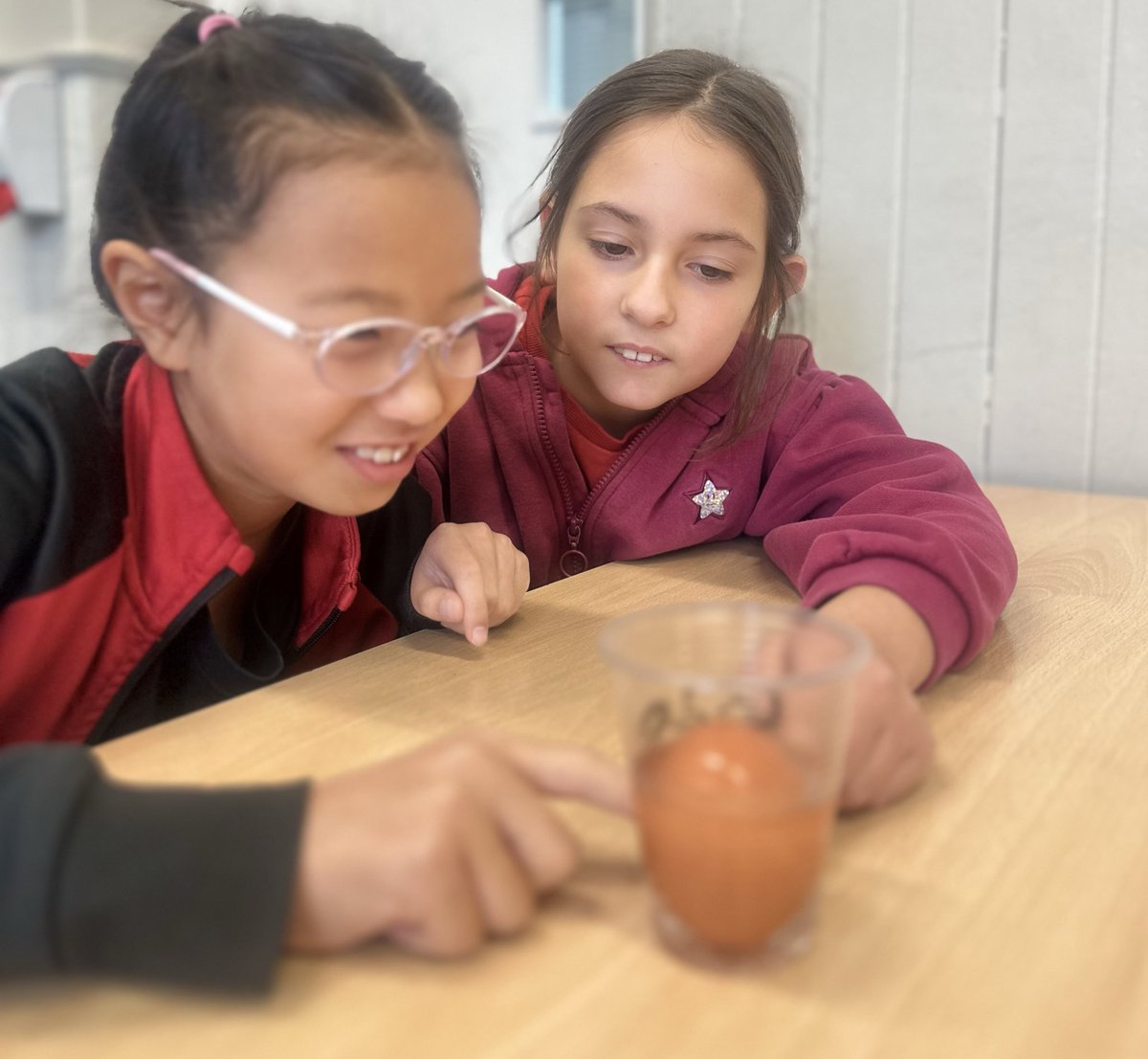 ManorParkSchSM1's tweet image. 🥚🦷 Year 4 had an egg-citing science experiment! We used eggs to see how different drinks can affect our teeth 🪥😬 The results are brewing and will be revealed on Monday — we can’t wait to see what happens! 😁✨
#weareLEO #MPPAscience