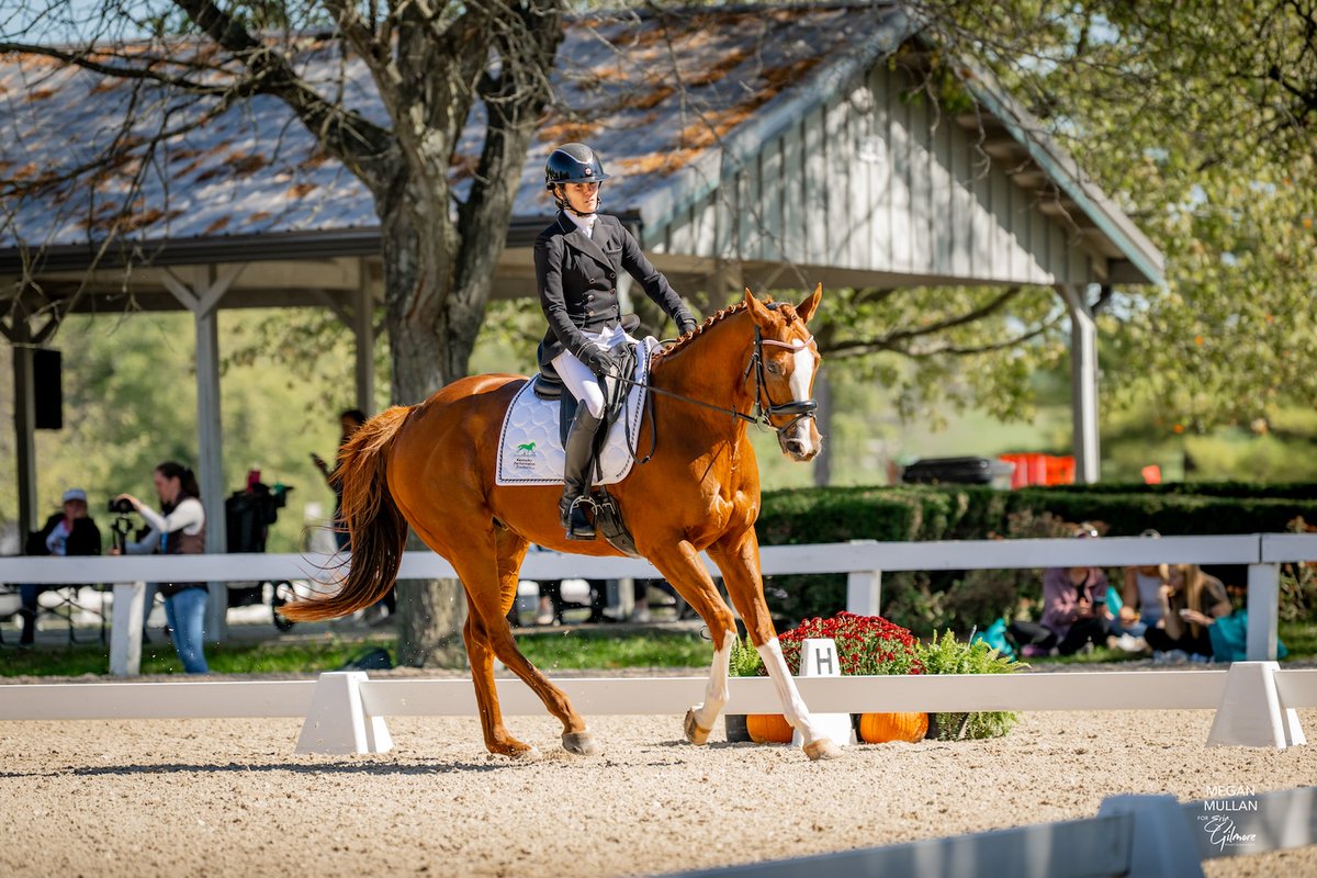 Kentucky Performance Products tweet media