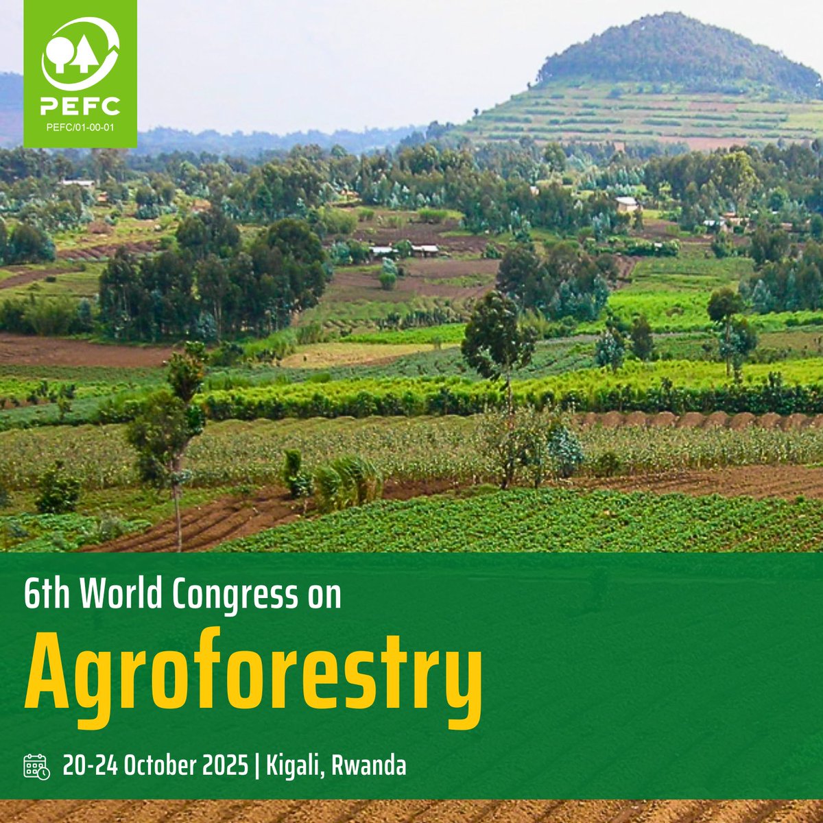 PEFC International (@pefc) on Twitter photo Weβre excited to join the 6th World Congress on Agroforestry next week in Kigali, Rwanda! π³
Weβll be engaging with farmers, researchers & policymakers to share ideas and bring new insights to our Sustainable Forest & Trees Outside Forests Management work. πΏπ€
<a href="/wcagroforestry/">World Congress on Agroforestry</a> Weβre excited to join the 6th World Congress on Agroforestry next week in Kigali, Rwanda! π³
Weβll be engaging with farmers, researchers & policymakers to share ideas and bring new insights to our Sustainable Forest & Trees Outside Forests Management work. πΏπ€
<a href="/wcagroforestry/">World Congress on Agroforestry</a>