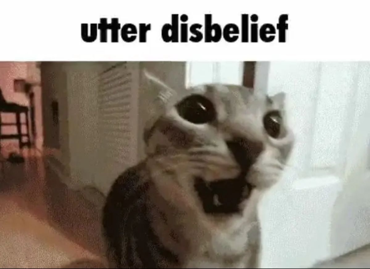 Shoota (@shootacat) on Twitter photo 