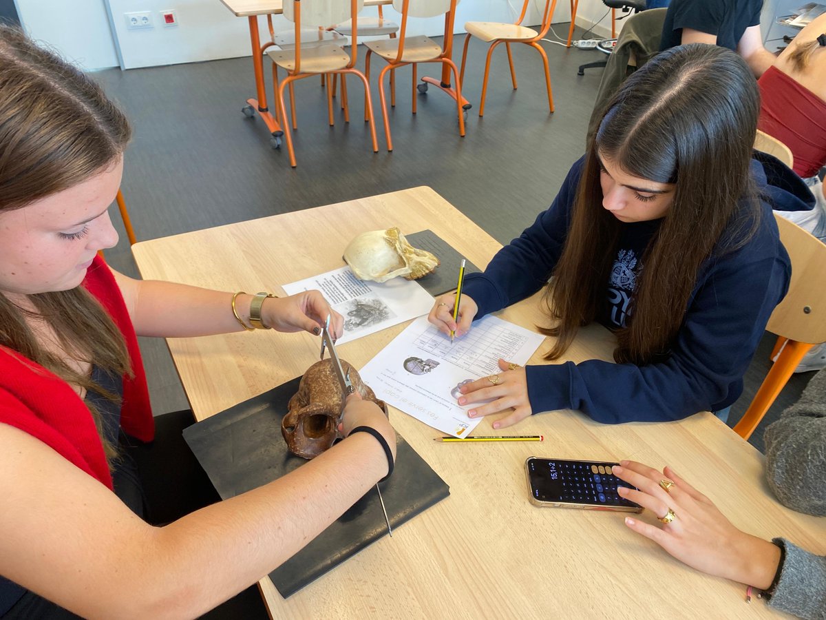 Institut Pere Ribot tweet media