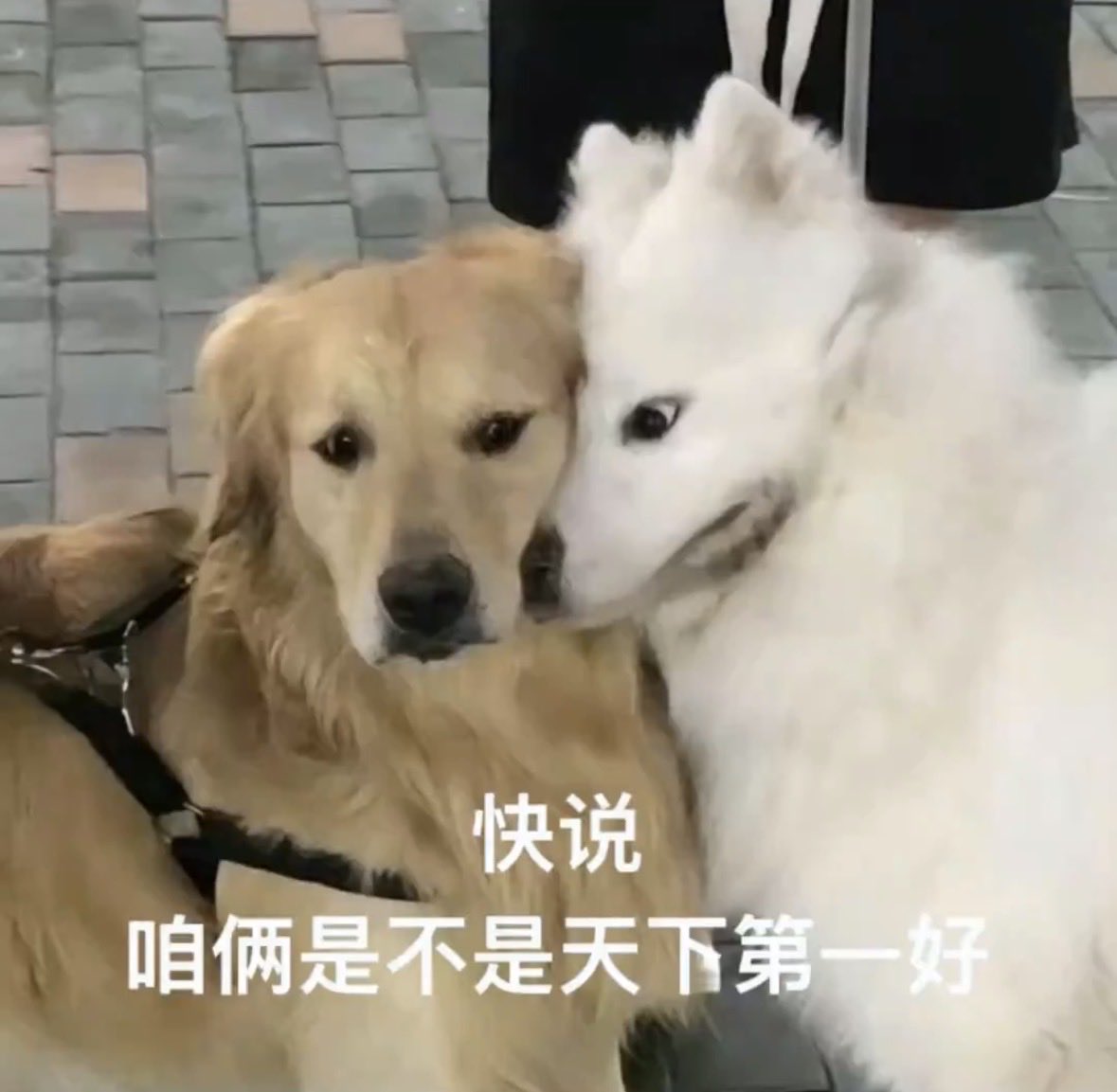 효닝♡ (@s2gihyeon) on Twitter photo 