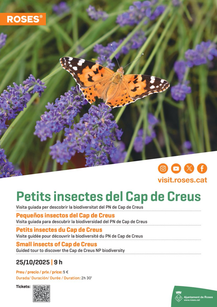 Al Cap de Creus hi viuen alguns dels habitants més discrets i fascinants de la natura… saltamartins, grills i altres petits insectes claus en l’equilibri de l’ecosistema! 🌾💚

Descobreix aquest petit gran món amb l'expert Joan Ventura 🐞

Inscripcions 👉 shorturl.at/tu6Ua