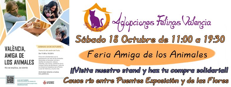 Adopciones Felinas VLC tweet media