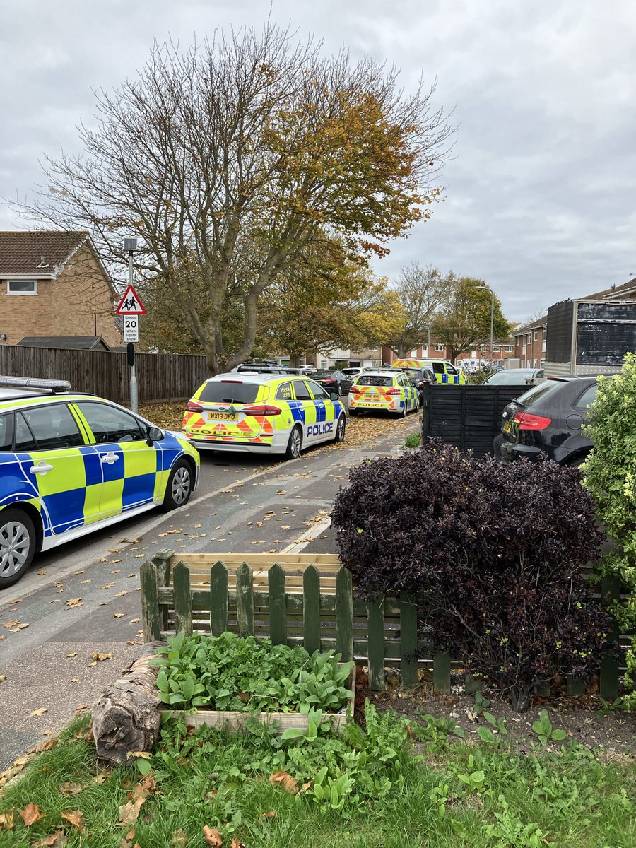 LucasHood tweet media