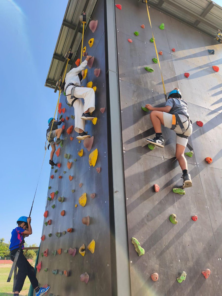 Institut Pedraforca tweet media