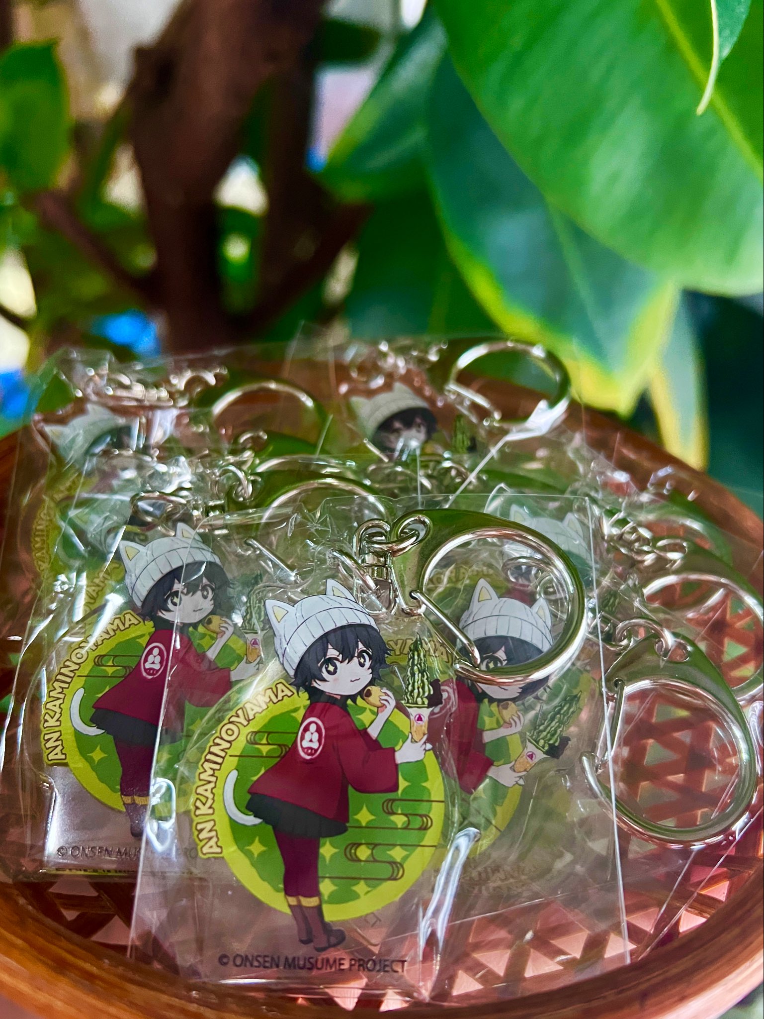 温泉むすめ　サポーター特典5月誕生日キャラ アクリルチャーム 12個セット 中條屋 on X: 